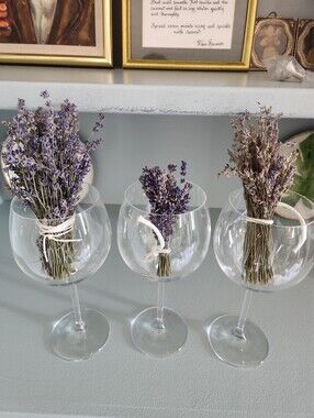 3 Tiny 2026 Real Dried Lavender